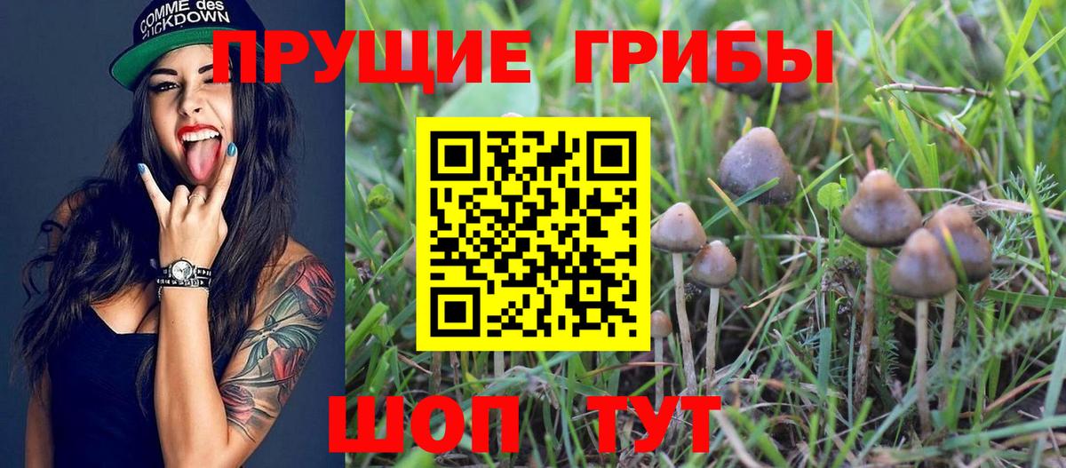 Галлюциногенные грибы MAGIC MUSHROOMS  где найти   Кушва  Галлюциногенные грибы ЛСД  Вход с VPN 