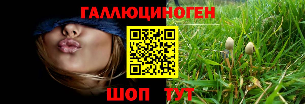 Cocaine  A PVP СК   Экстази  Codein  Кушва  Меф   ГАШИШ  Вход с VPN  Лсд 25 